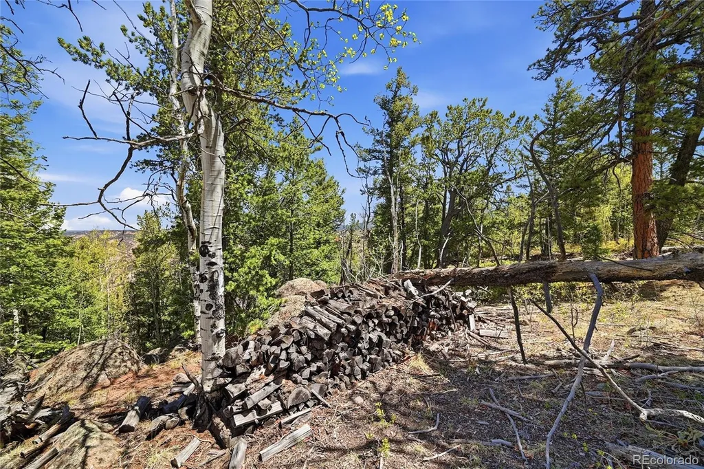 7070 Cr 1 Cripple Creek CO 80813