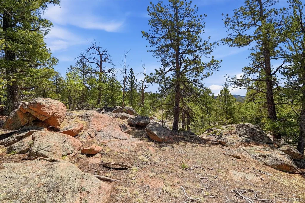 7070 Cr 1 Cripple Creek CO 80813