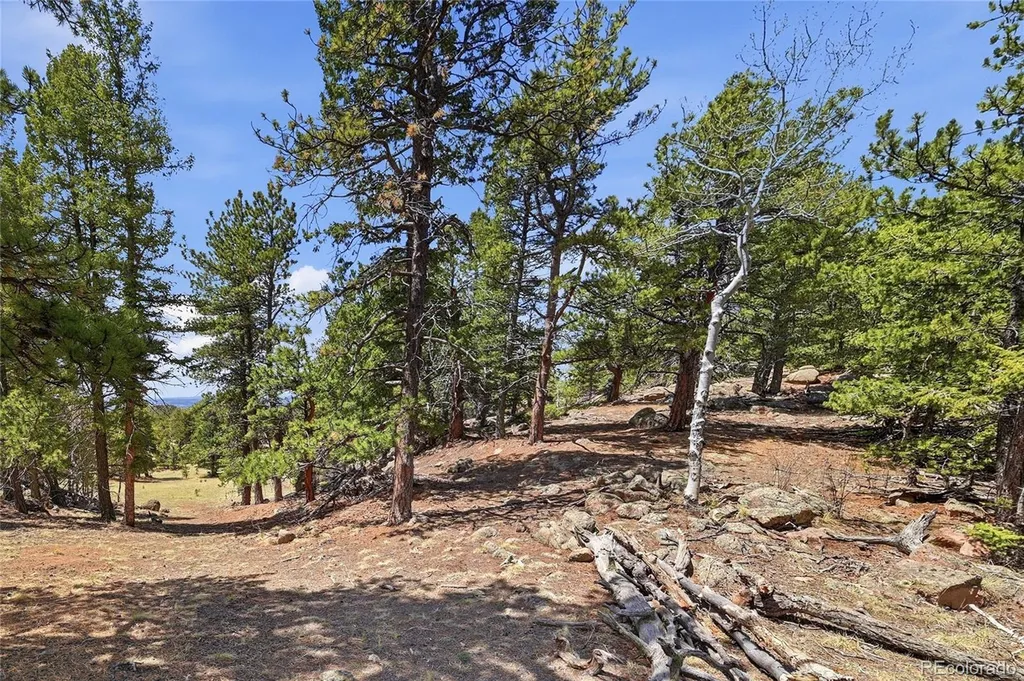 7070 Cr 1 Cripple Creek CO 80813