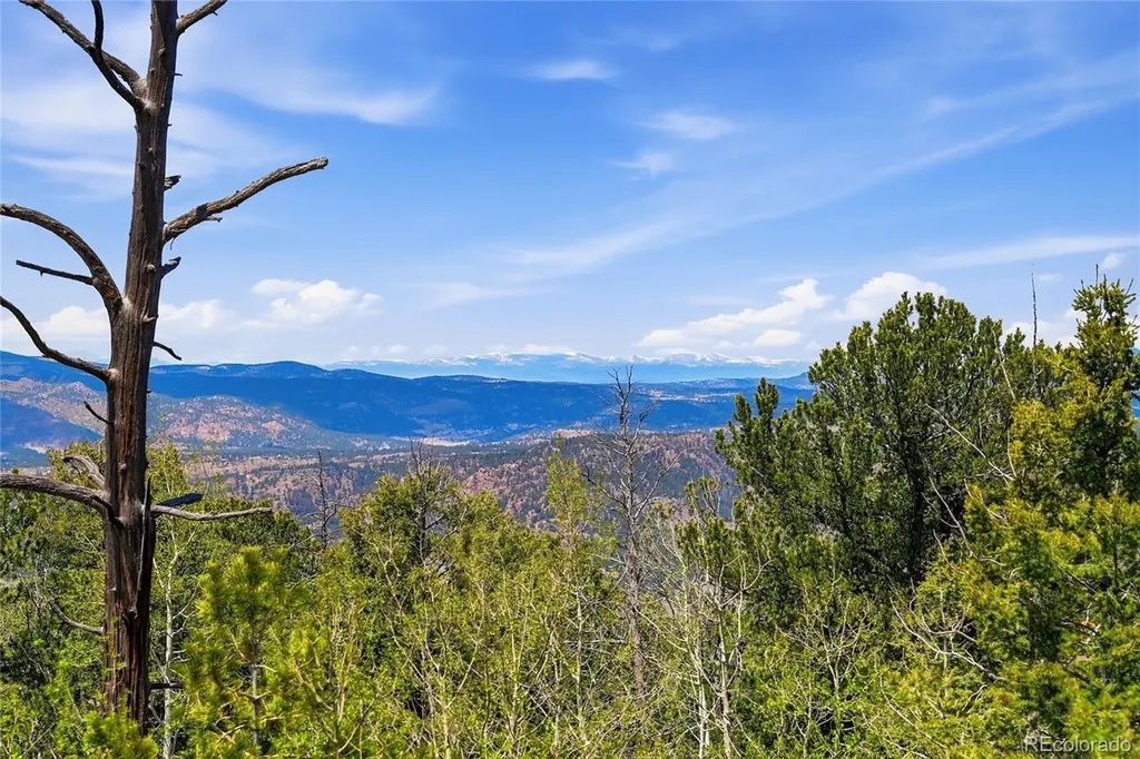 7070 Cr 1 Cripple Creek CO 80813