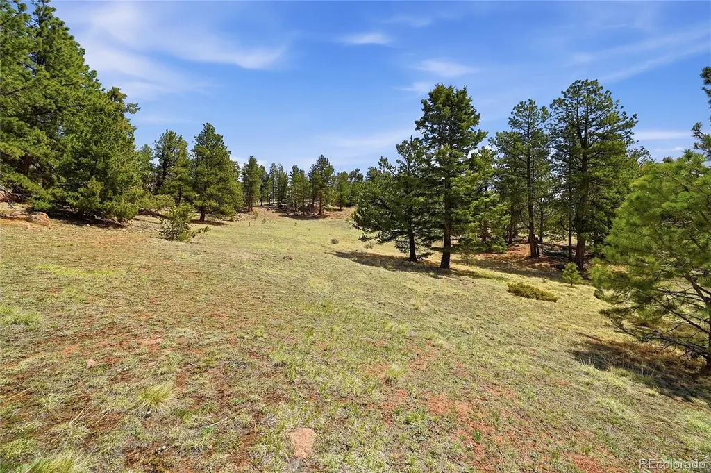 7070 Cr 1 Cripple Creek CO 80813