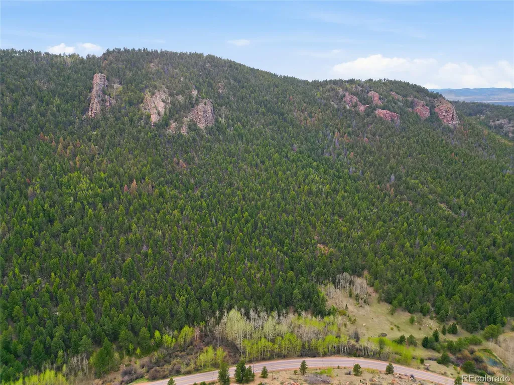 7070 Cr 1 Cripple Creek CO 80813
