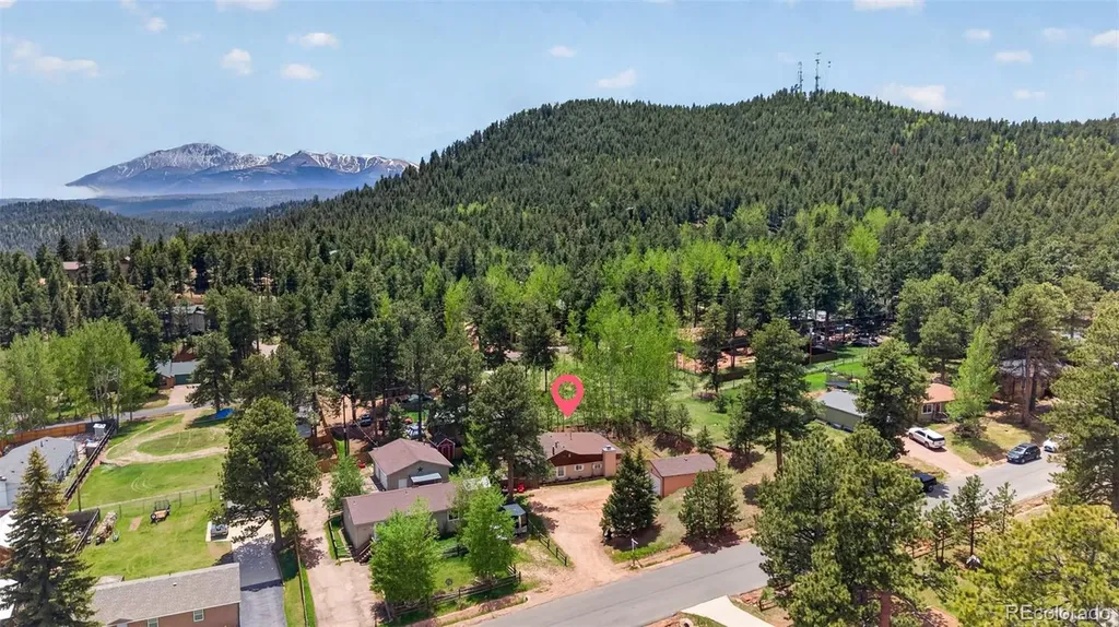 919 W Browning Avenue Woodland Park CO 80863