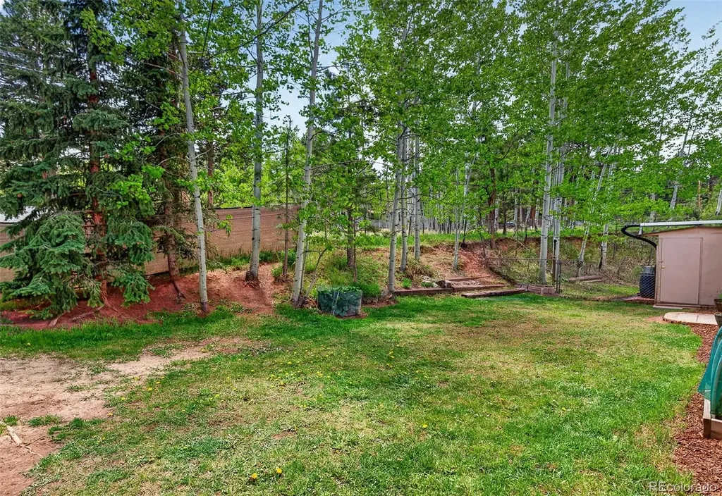 919 W Browning Avenue Woodland Park CO 80863