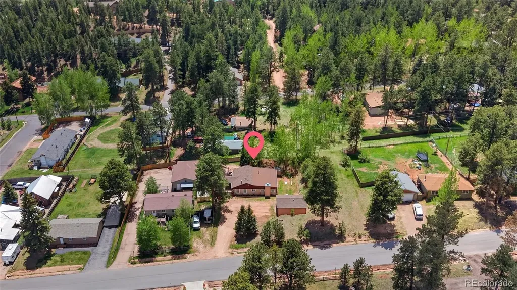 919 W Browning Avenue Woodland Park CO 80863