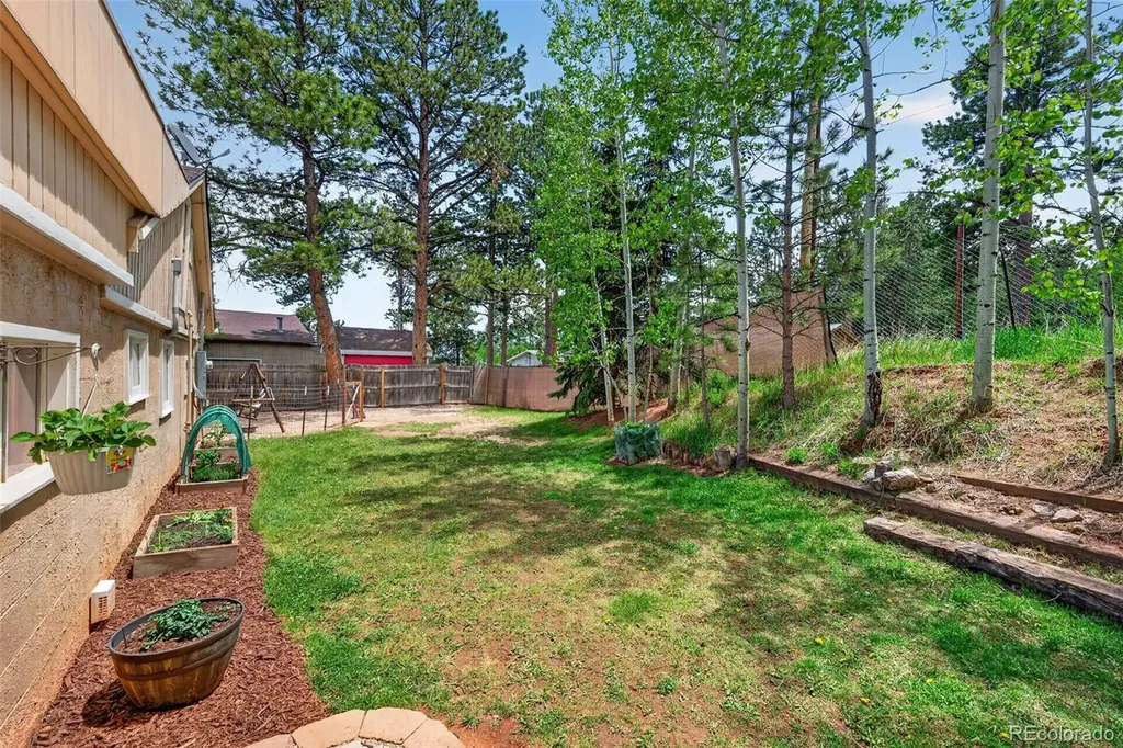 919 W Browning Avenue Woodland Park CO 80863