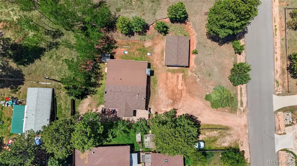 919 W Browning Avenue Woodland Park CO 80863