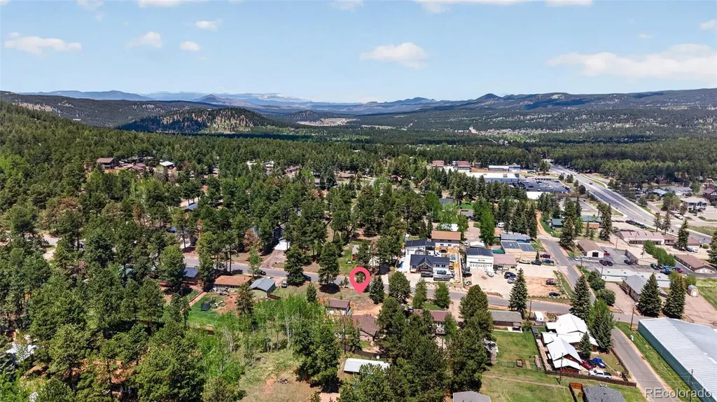 919 W Browning Avenue Woodland Park CO 80863