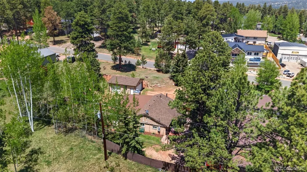919 W Browning Avenue Woodland Park CO 80863