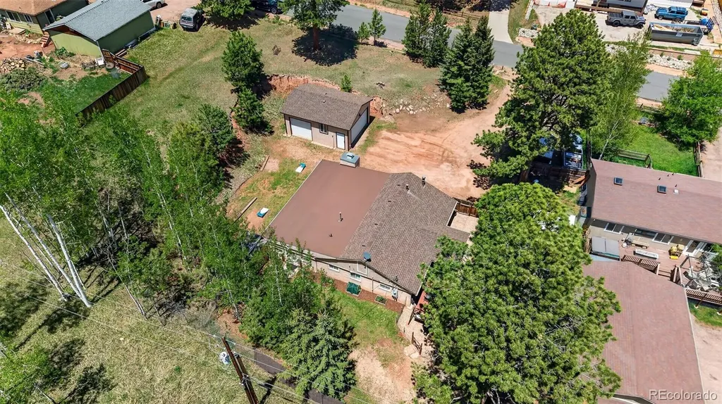 919 W Browning Avenue Woodland Park CO 80863