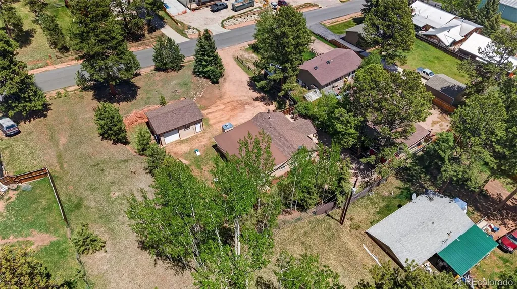 919 W Browning Avenue Woodland Park CO 80863