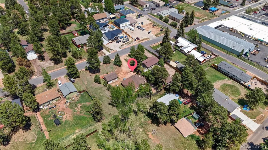 919 W Browning Avenue Woodland Park CO 80863