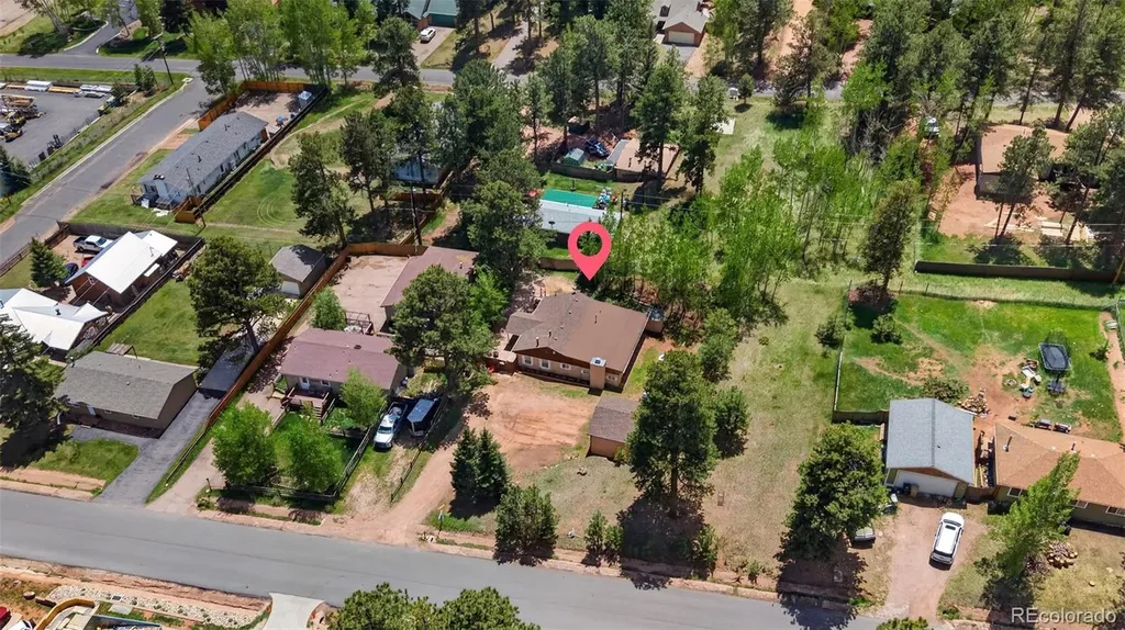 919 W Browning Avenue Woodland Park CO 80863