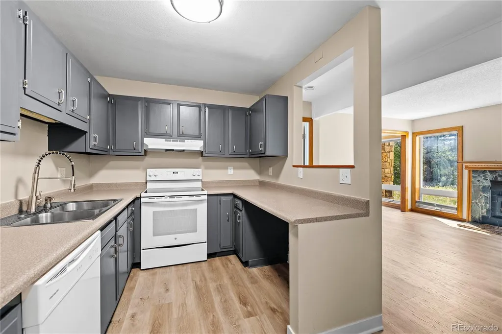 3452 Ryan Gulch Road Silverthorne CO 80498