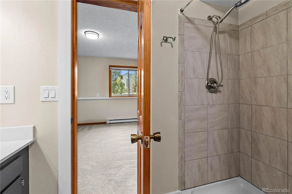 3452 Ryan Gulch Road Silverthorne CO 80498