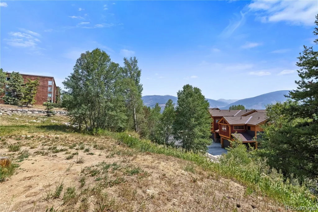 3452 Ryan Gulch Road Silverthorne CO 80498