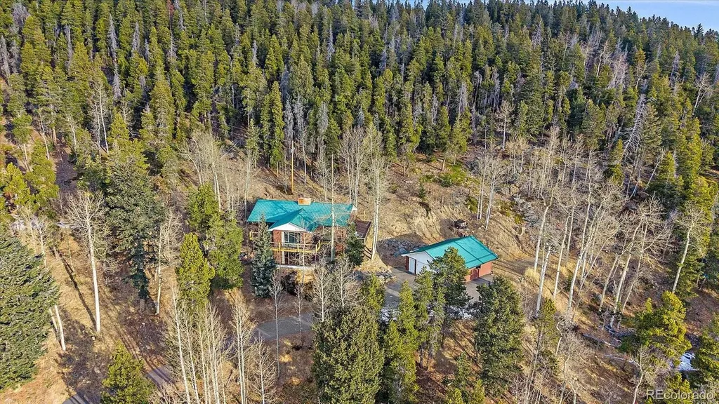 66 Lodgepole Circle Evergreen CO 80439