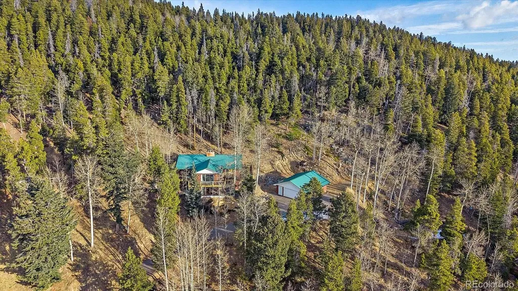 66 Lodgepole Circle Evergreen CO 80439