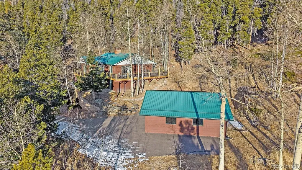 66 Lodgepole Circle Evergreen CO 80439