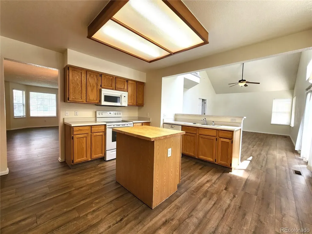 10705 Milliken Street Parker CO 80134
