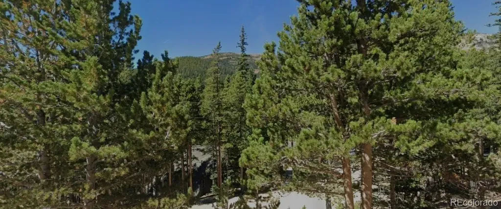 Lot 82 Lake Road Idaho Springs CO 80452