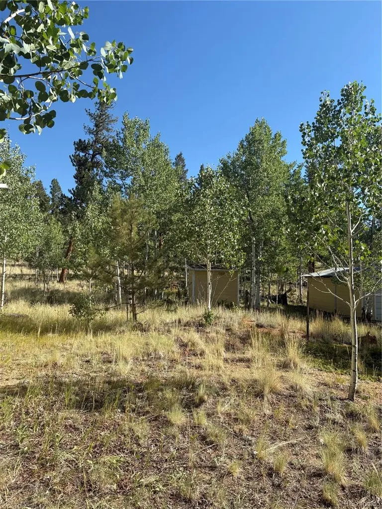 103 Baker Road Bailey CO 80421