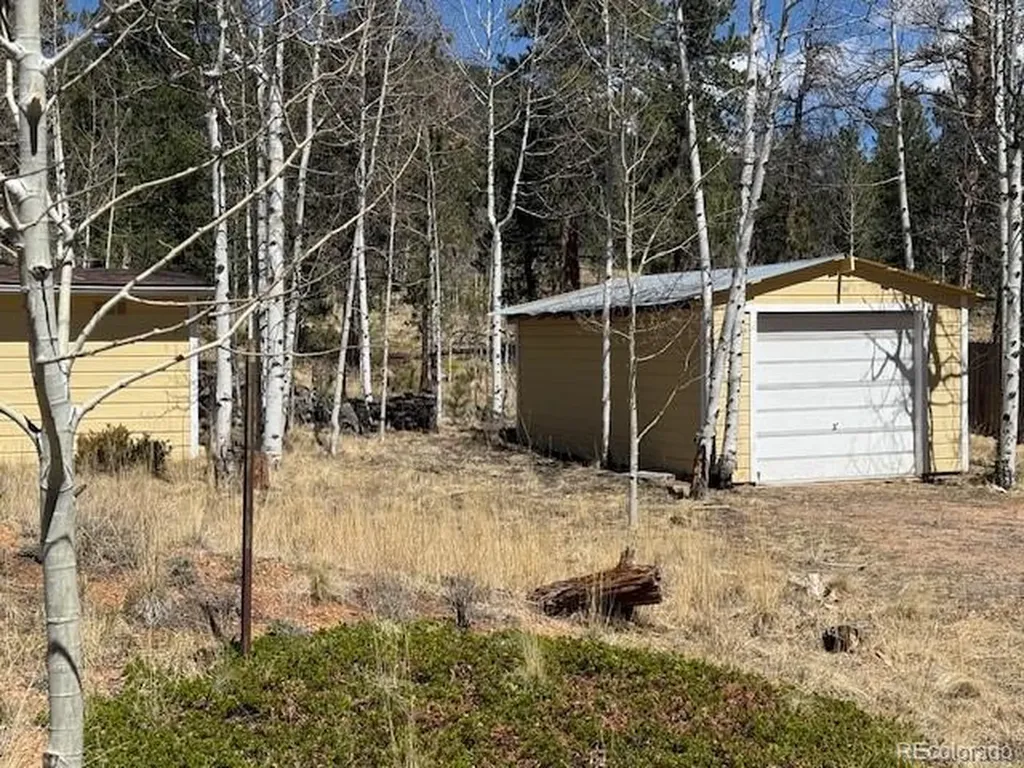 103 Baker Road Bailey CO 80421