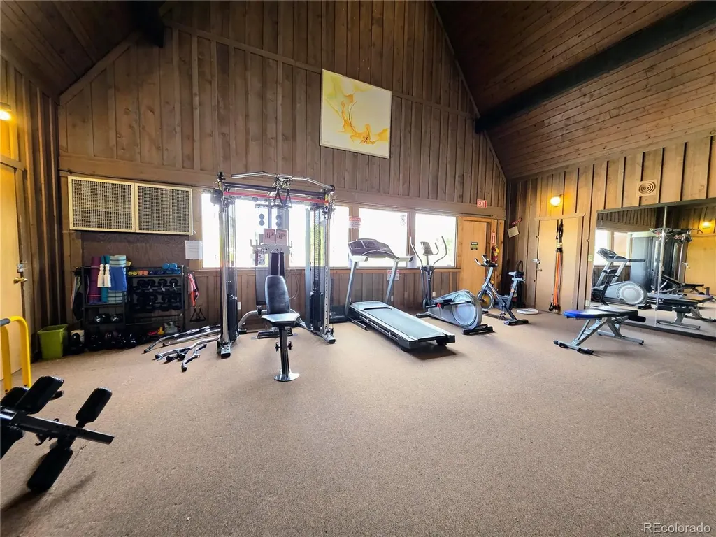 10795 County Road 197a Unit 10 Nathrop CO 81236