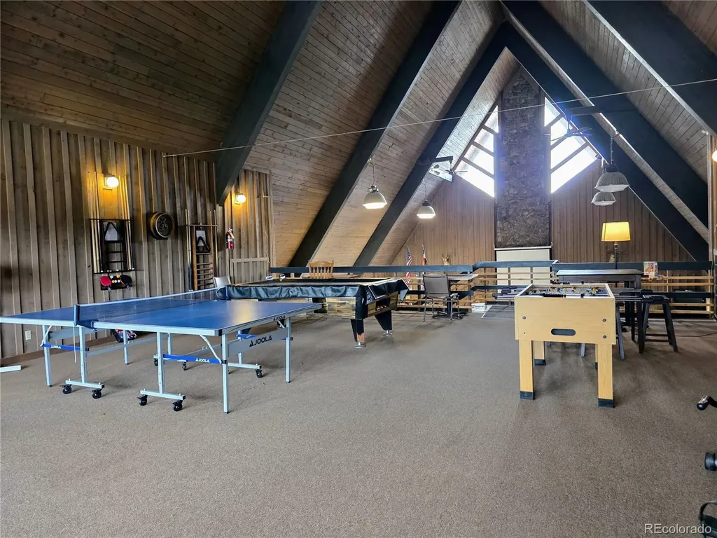 10795 County Road 197a Unit 10 Nathrop CO 81236