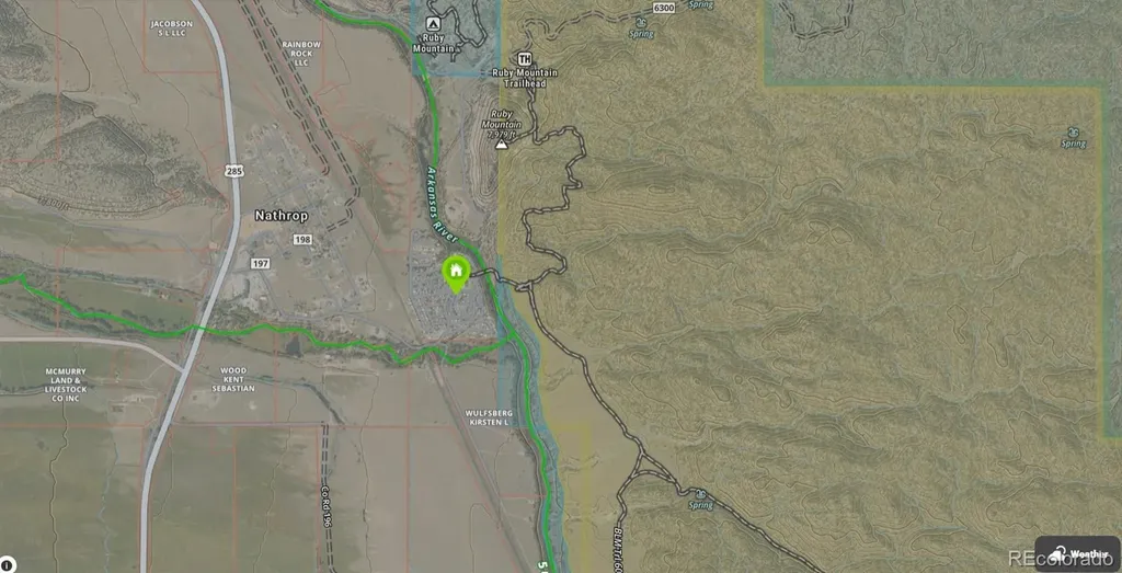 10795 County Road 197a Unit 10 Nathrop CO 81236