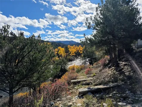 10795 County Road 197a Unit 10 Nathrop CO 81236
