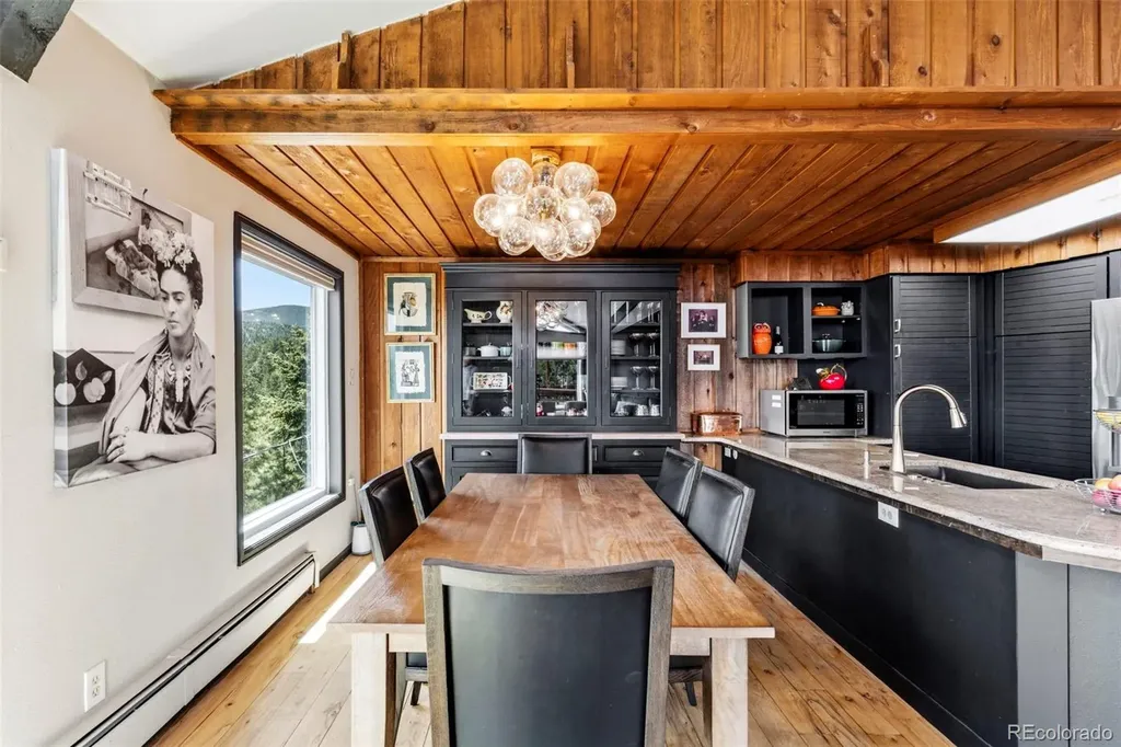 610 Meadow View Drive Evergreen CO 80439