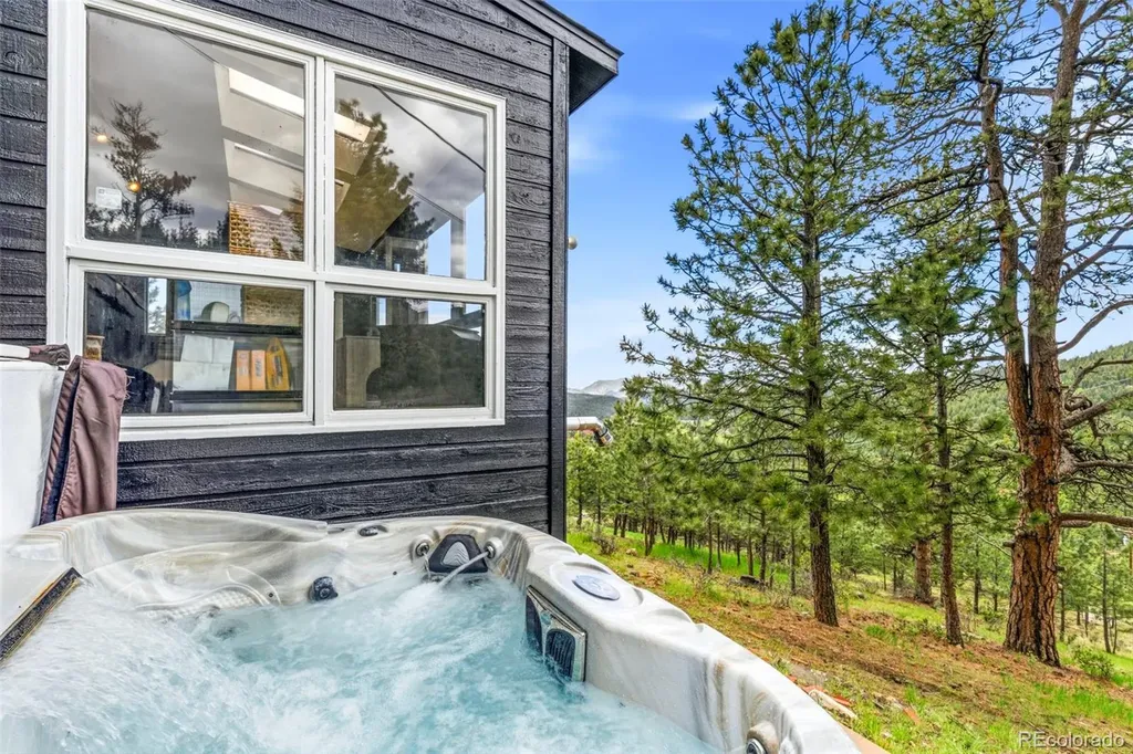 610 Meadow View Drive Evergreen CO 80439