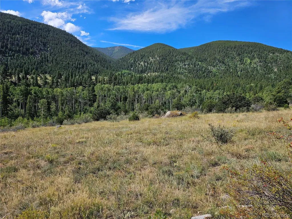 19039 Monarch River Drive Salida CO 81201