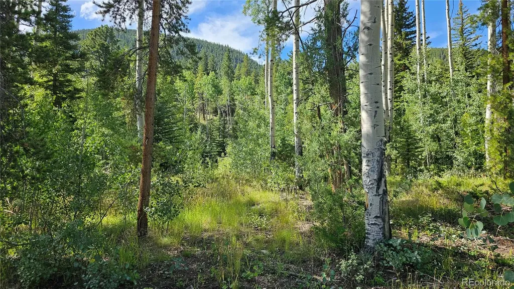 19039 Monarch River Drive Salida CO 81201