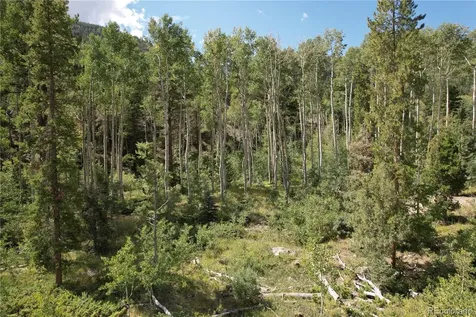 19039 Monarch River Drive Salida CO 81201