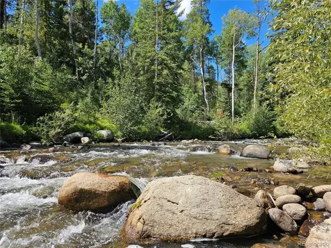 19039 Monarch River Drive Salida CO 81201