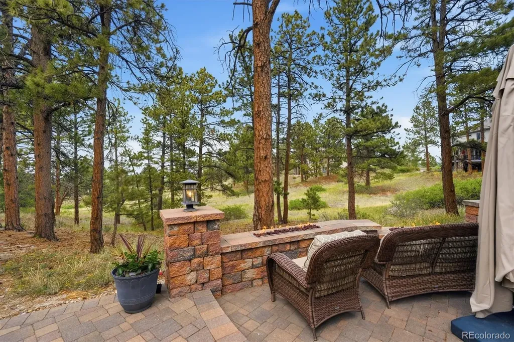 11941 S Longs Bluff Lane Parker CO 80134