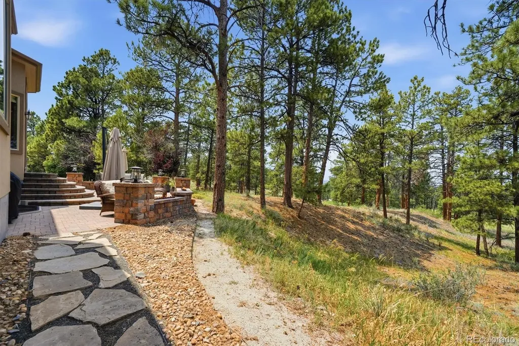 11941 S Longs Bluff Lane Parker CO 80134
