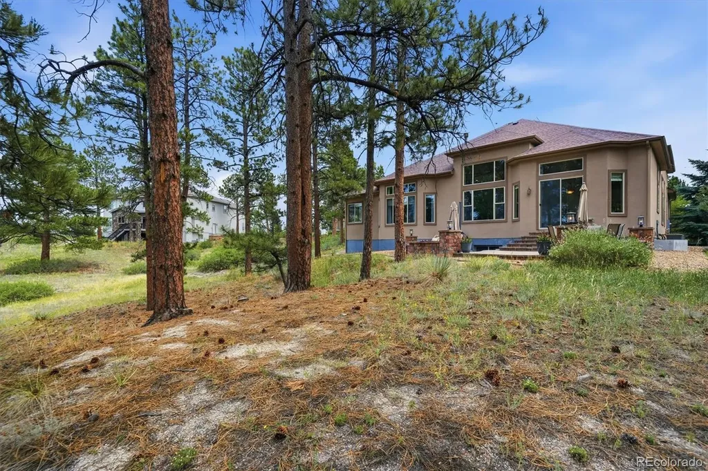 11941 S Longs Bluff Lane Parker CO 80134
