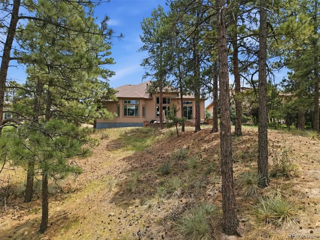 11941 S Longs Bluff Lane Parker CO 80134