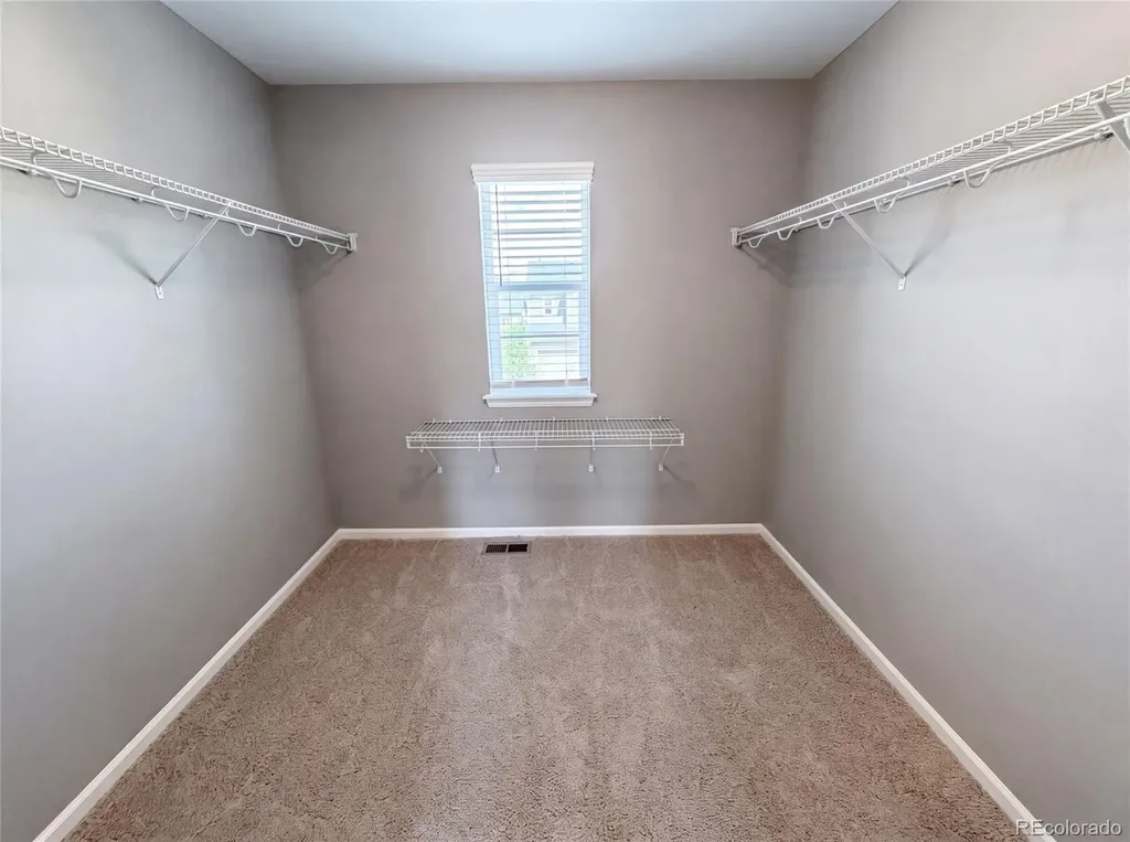 2450 Garganey Drive Castle Rock CO 80104