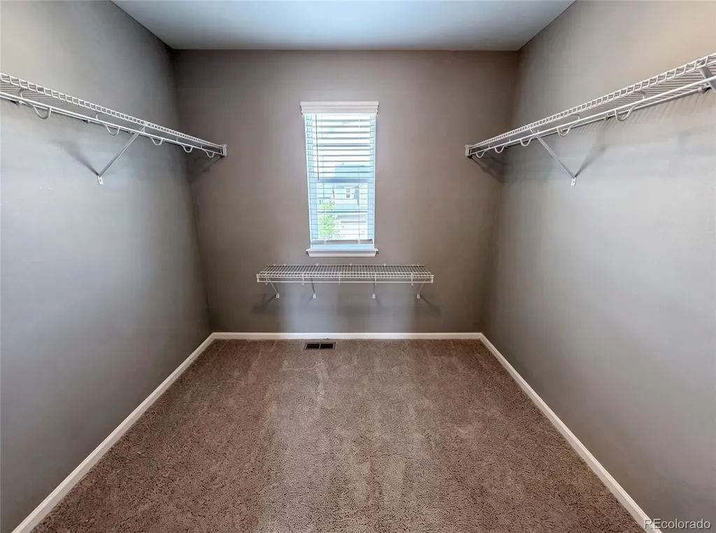 2450 Garganey Drive Castle Rock CO 80104