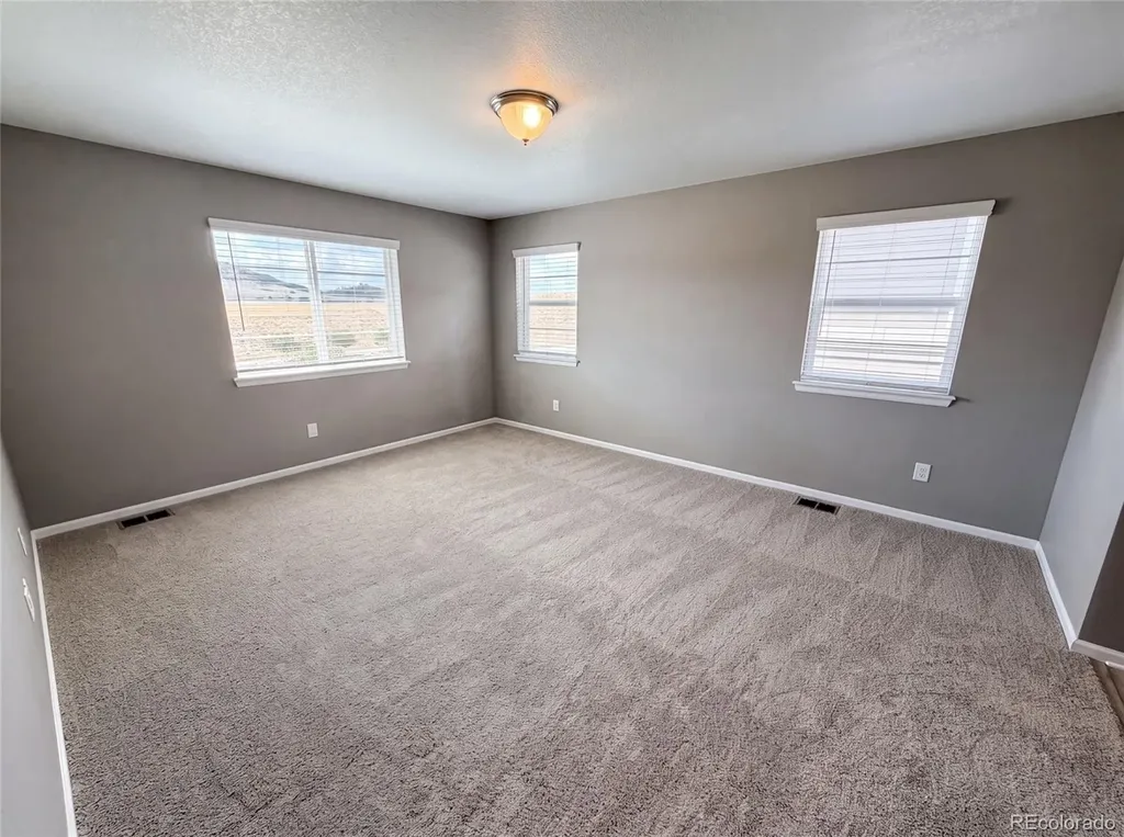 2450 Garganey Drive Castle Rock CO 80104