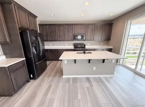 2450 Garganey Drive Castle Rock CO 80104