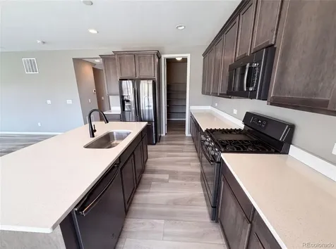 2450 Garganey Drive Castle Rock CO 80104