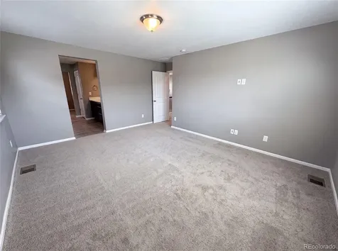 2450 Garganey Drive Castle Rock CO 80104