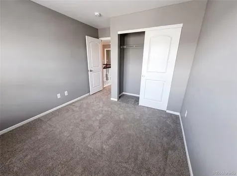 2450 Garganey Drive Castle Rock CO 80104