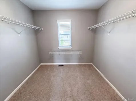 2450 Garganey Drive Castle Rock CO 80104