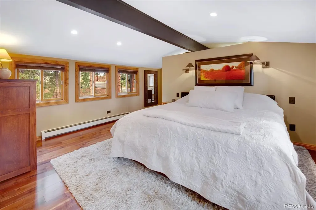 29310 Buchanan Drive Evergreen CO 80439